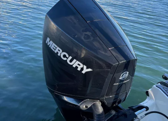 SEA RAY - SEA RAY 210 SPX - 12