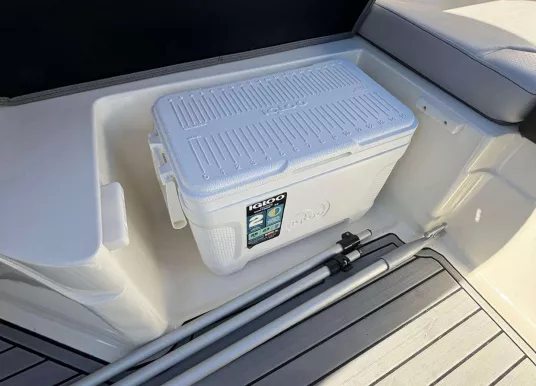 SEA RAY - SEA RAY 210 SPX - 10