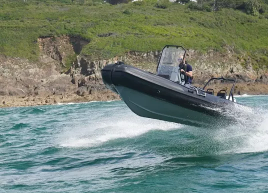 3D TENDER - NIVIDIC 550 - 3