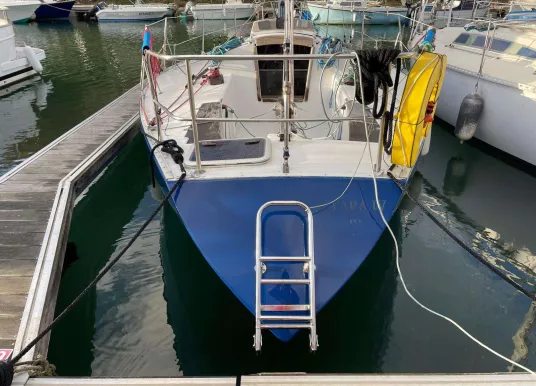 PICHAVANT - GOLDEN SHAMROCK - 2