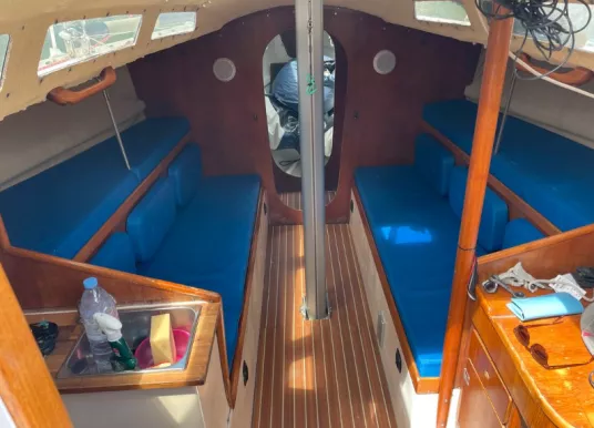 PICHAVANT - GOLDEN SHAMROCK - 11