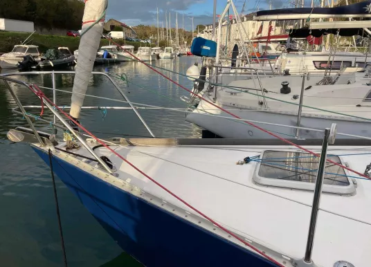 PICHAVANT - GOLDEN SHAMROCK - 3