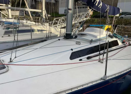 PICHAVANT - GOLDEN SHAMROCK - 4