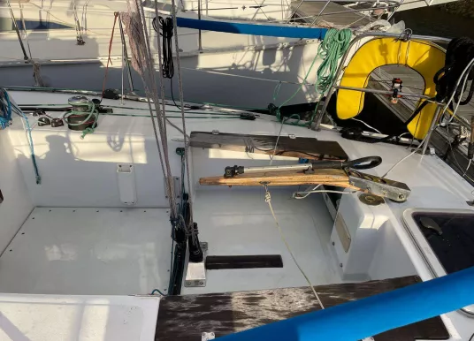 PICHAVANT - GOLDEN SHAMROCK - 6