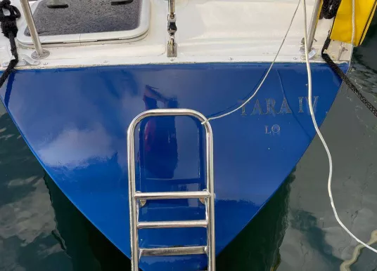 PICHAVANT - GOLDEN SHAMROCK - 7