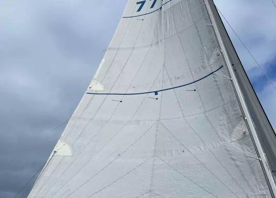 PICHAVANT - GOLDEN SHAMROCK - 10