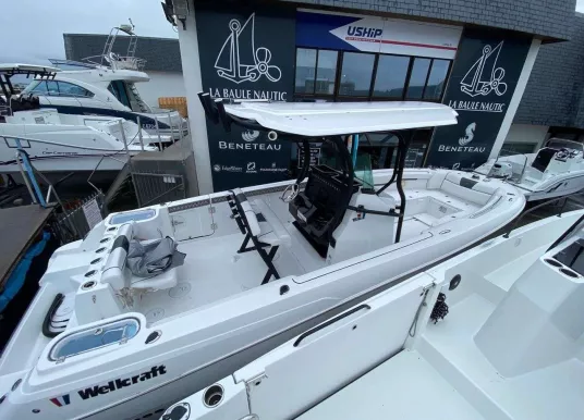 WELLCRAFT - WELLCRAFT 262 FISHERMAN - 2