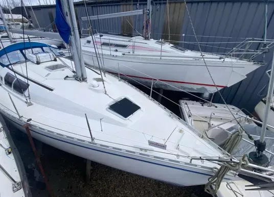 DUFOUR YACHTS - GIB SEA 362 - 2