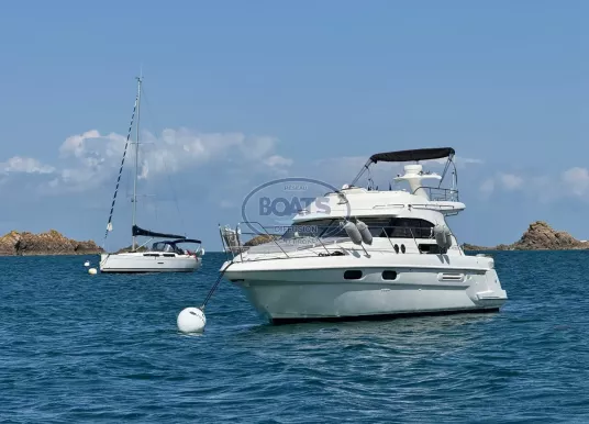 SEALINE - SEALINE 360 STATESMAN - 13