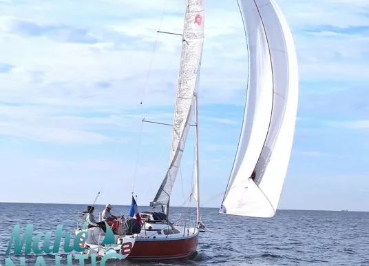 WINNER YACHTS - WINNER 8 PERFORMANCE - 2