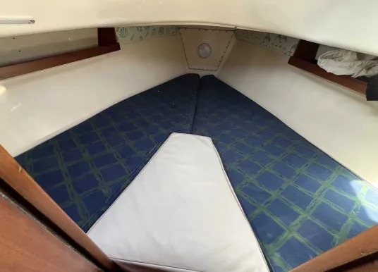 CONTEST YACHTS - CONTEST 33 - 16