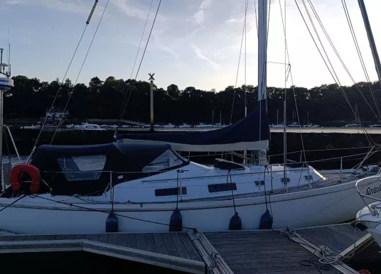 CONTEST YACHTS - CONTEST 33 - 18