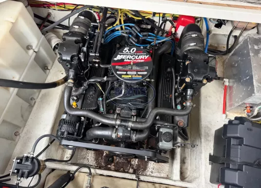 BAYLINER - BAYLINER 245 CIERA - 4