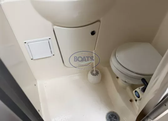 BAYLINER - BAYLINER 245 CIERA - 8