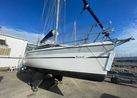 WRIGHTON - BILOUP 89 - 5
