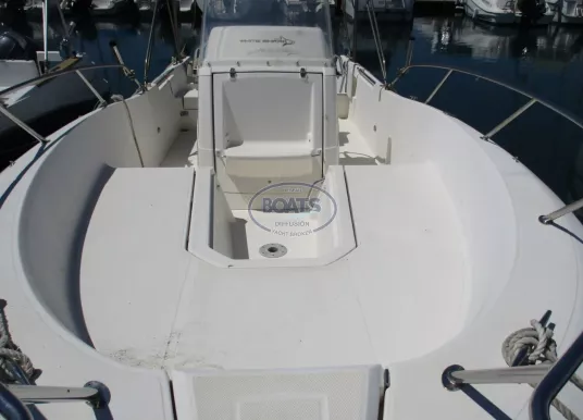 WHITE SHARK - WHITE SHARK 226 - 2