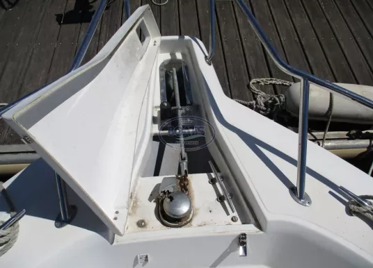 WHITE SHARK - WHITE SHARK 226 - 3
