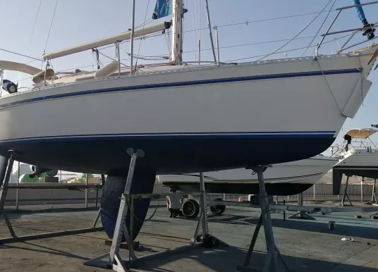 GIBSEA334 - 