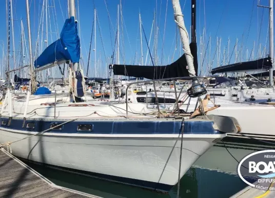 FLORIDA MORGAN - MORGAN 41