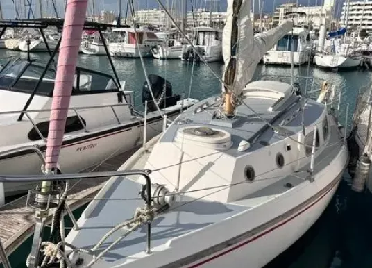 WESTERLY - WESTERLY TIGER