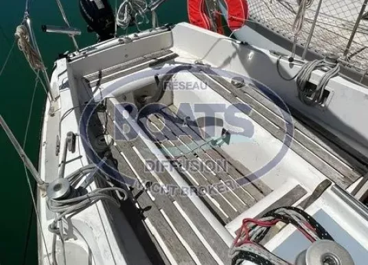 WESTERLY - WESTERLY TIGER - 8
