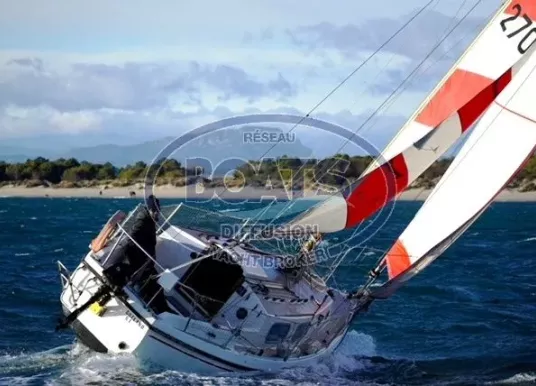 WESTERLY - WESTERLY TIGER - 10