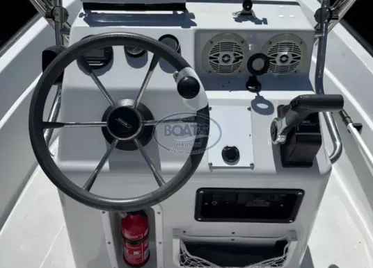 BOSTON WHALER - 15 DAUNTLESS - 3