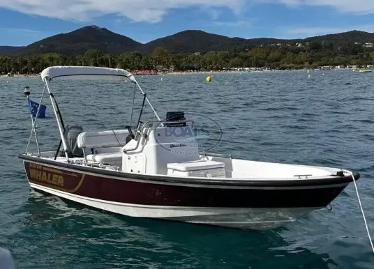 BOSTON WHALER - 15 DAUNTLESS - 5