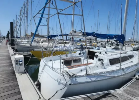 GIBERT MARINE - GIB SEA 31 DL - 5