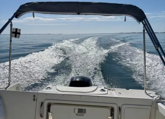 QUICKSILVER - Pilothouse 755 - 4