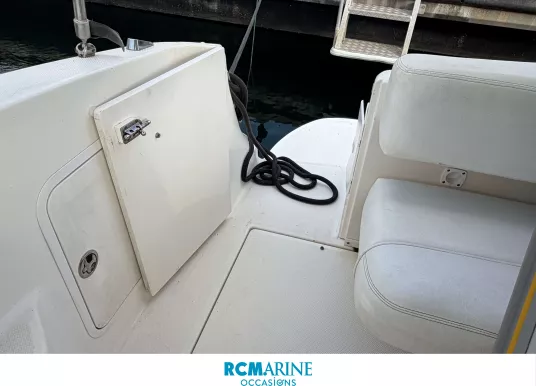SEA RAY - SUNDANCER 315 - 11