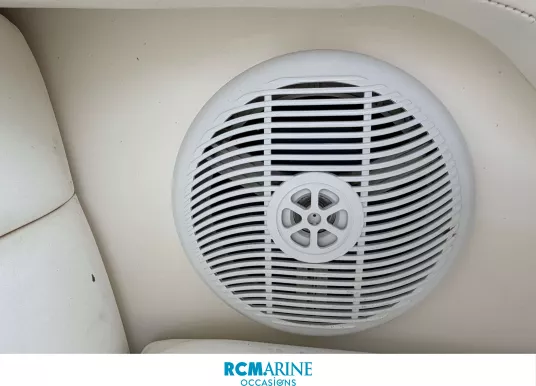 SEA RAY - SUNDANCER 315 - 10
