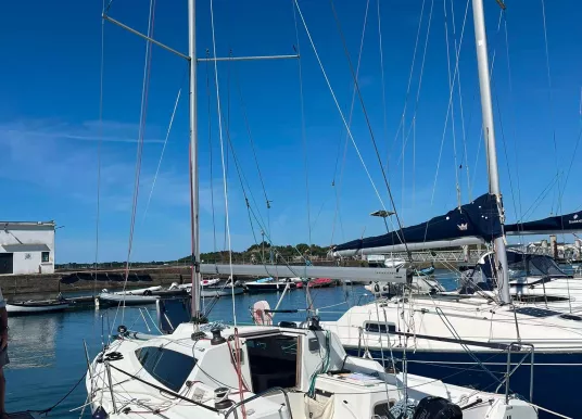MAREE HAUTE - DJANGO 6.70 - 6