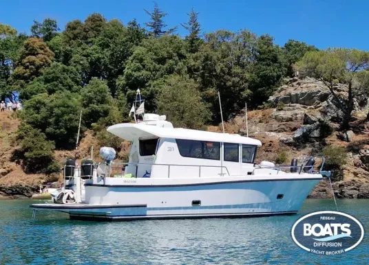 SARGO - 31