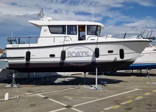 SARGO - 31 - 14