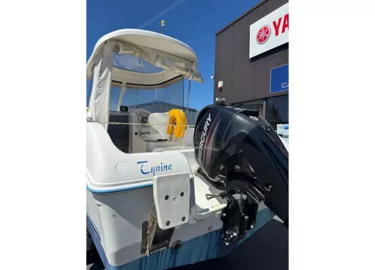 QUICKSILVER - Quicksilver 530 Flamingo - 2
