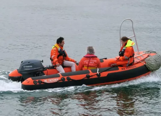 3D TENDER - Rescue Boat 430 - 4