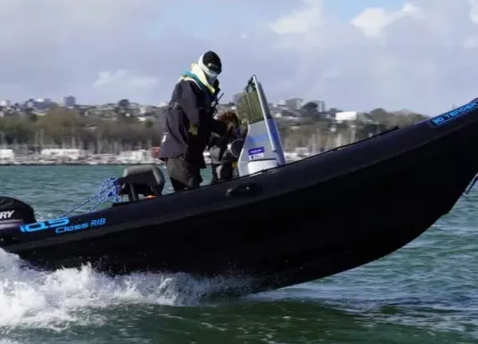 3D TENDER - IQ5
