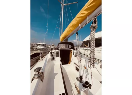B2 MARINE - DJINN 7 - 4