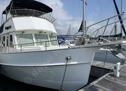 AMERICAN MARINE - Grand Banks 42 - 2