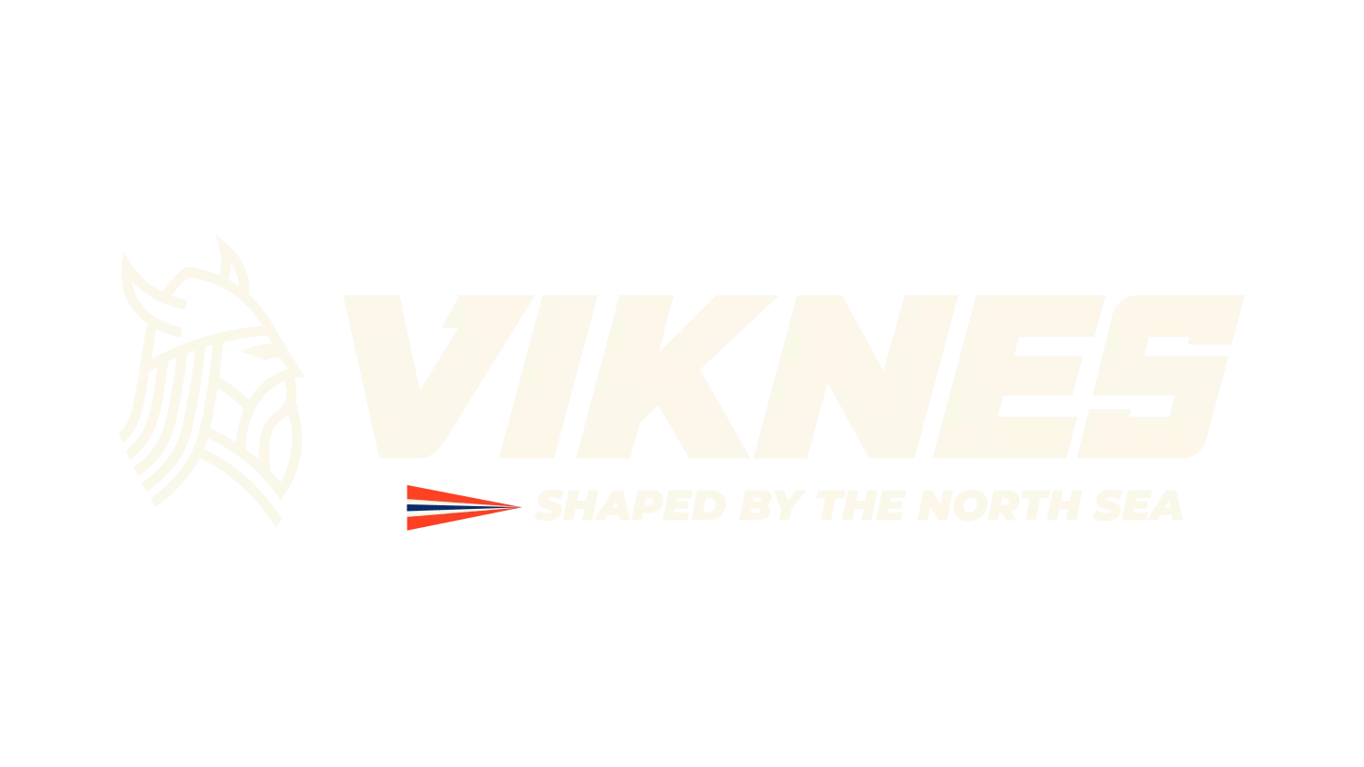 VIKNES FRANCE