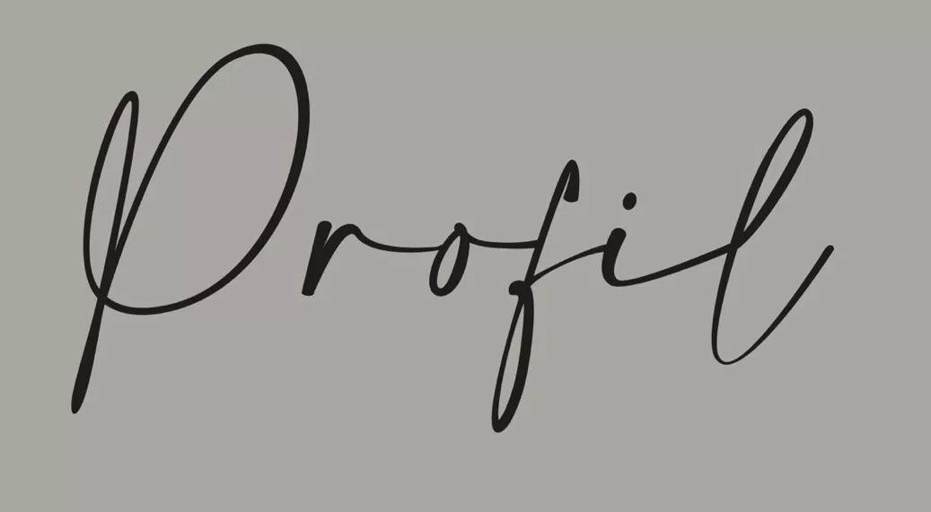 PROFIL BOX