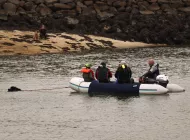 Sauvetage en mer par des chiens entrainés