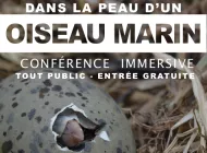 Dans la peau d'un oiseau marin par Bretagne vivante