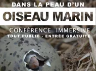  Dans la peau d'un oiseau marin du Mor Braz ! - CEN Bretagne Vivante