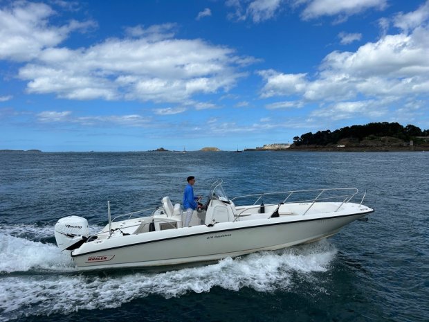 BOSTON WHALER 270 Dauntless