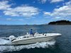 BOSTON WHALER 270 Dauntless