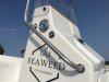 CN CAP FERRET SEA WEED 535