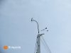 JEANNEAU Sun Fast 3300