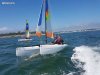 HOBIE CAT TATOO